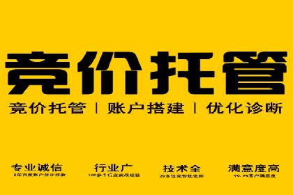 成功案例：SEM外包公司如何打造高效广告投放方案